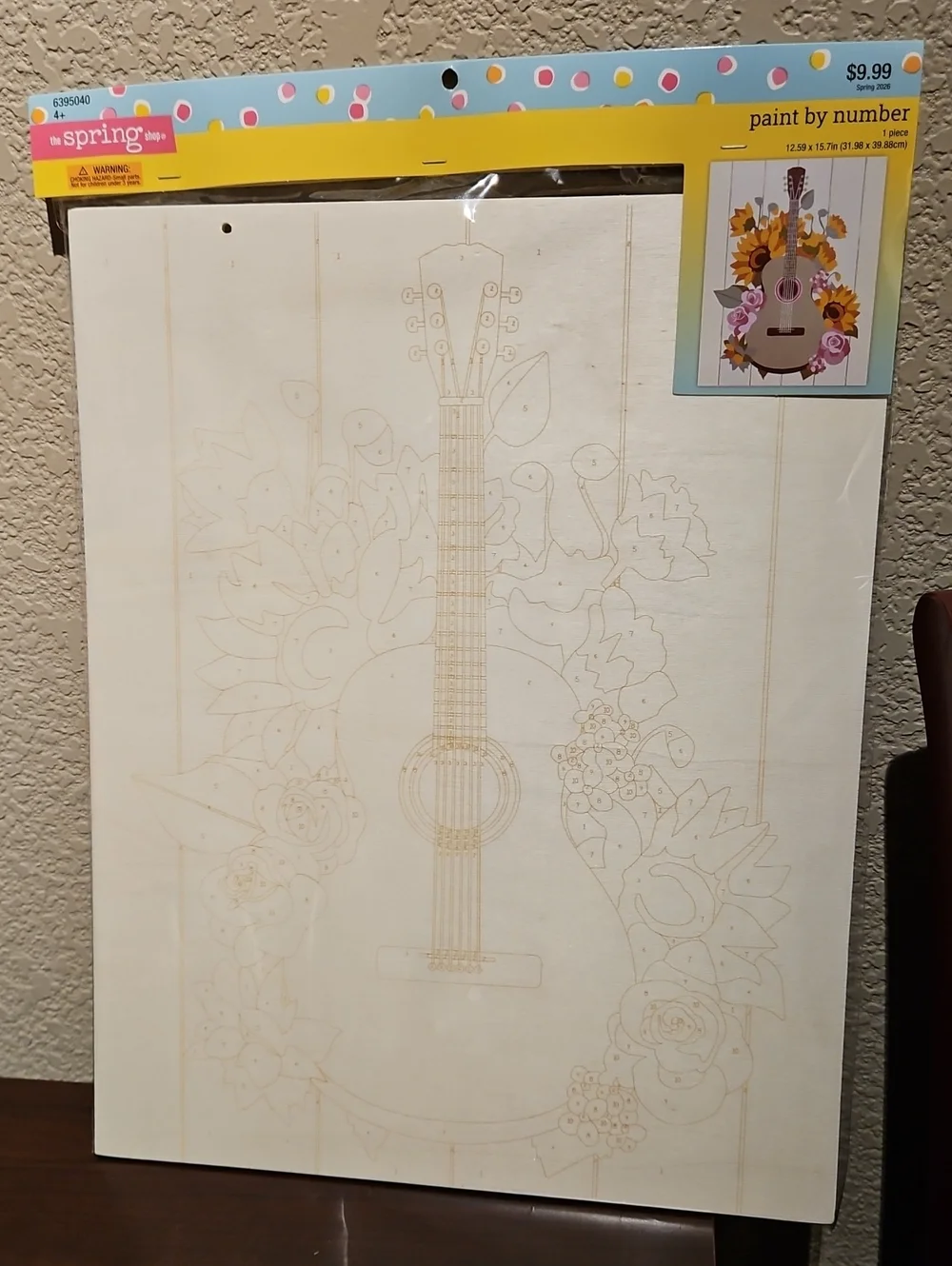 Paint By Numbers - Guitar
